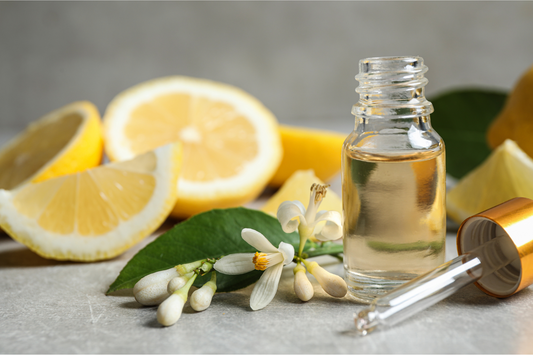 Make Your Own Body Oils Using Zurma’s Nut & Seed Oils