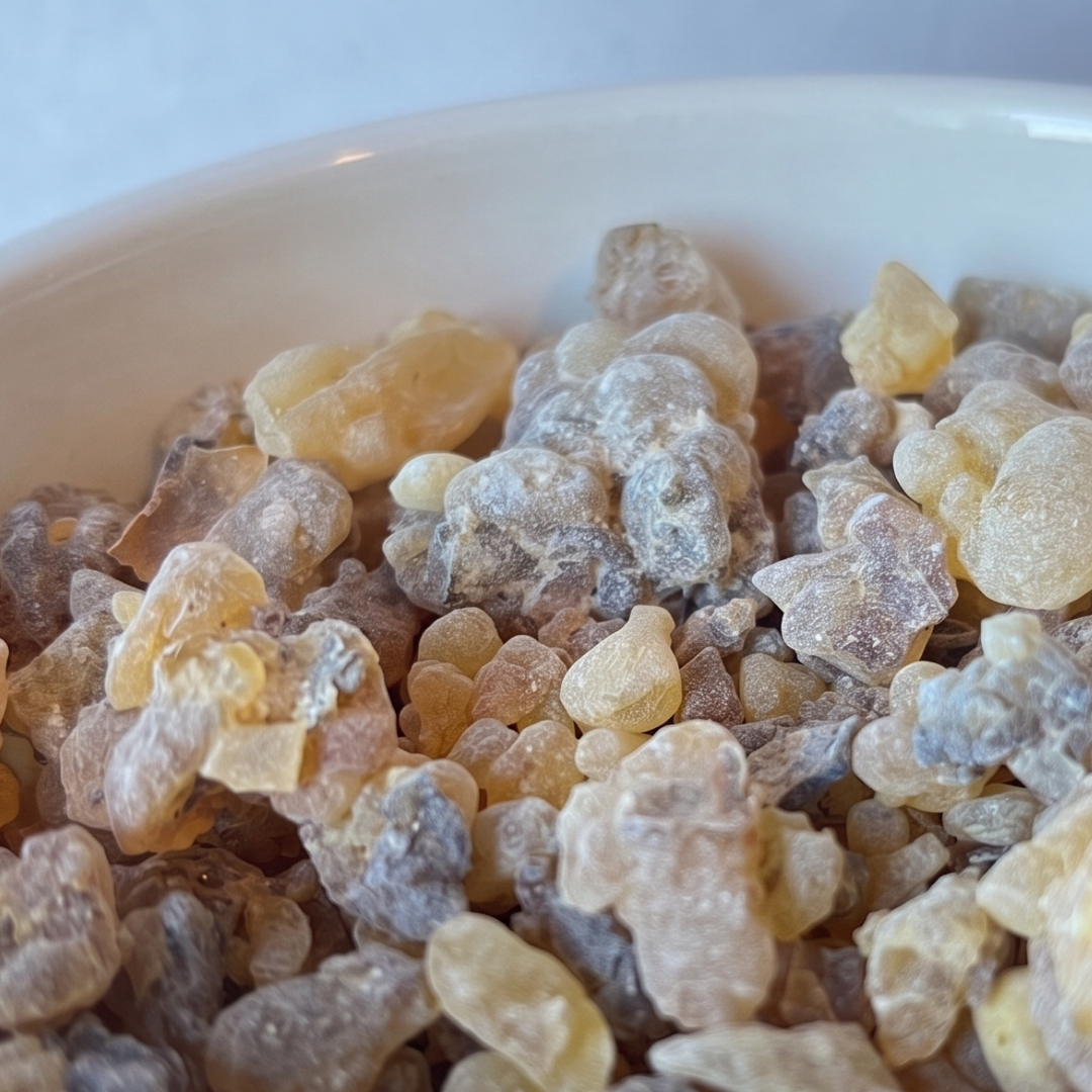 Frankincense Carterii Resin Tears