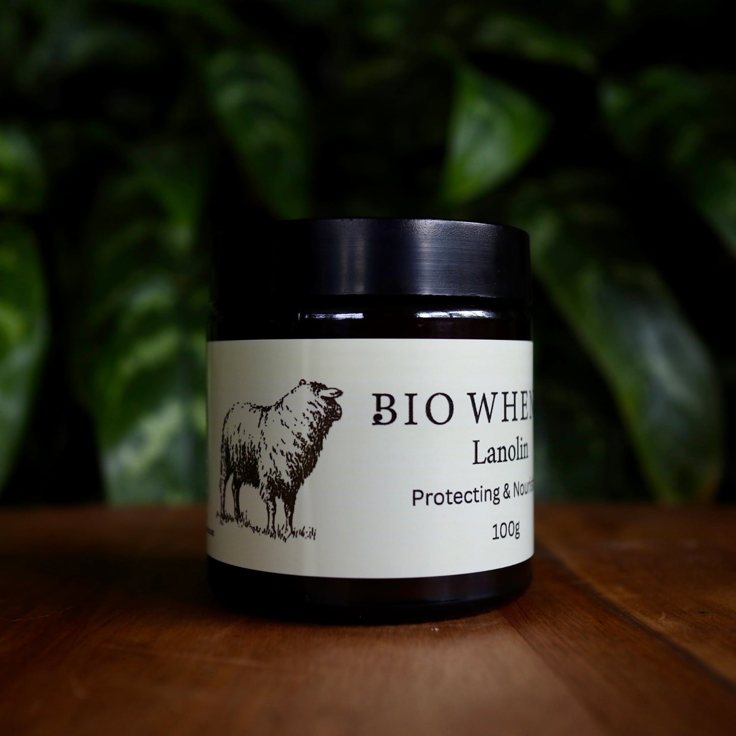Lanolin