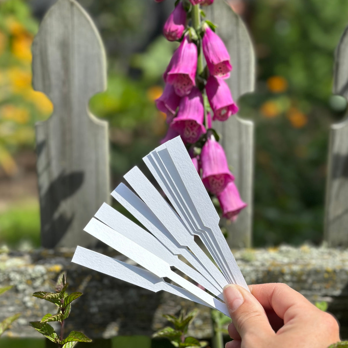 Perfumers Scent Strips