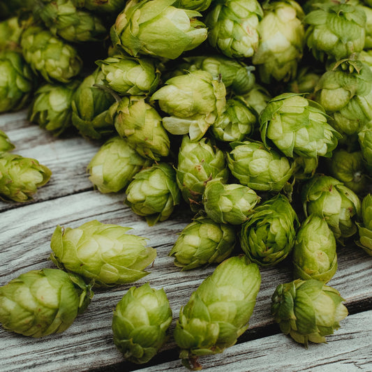 Hop CO2
