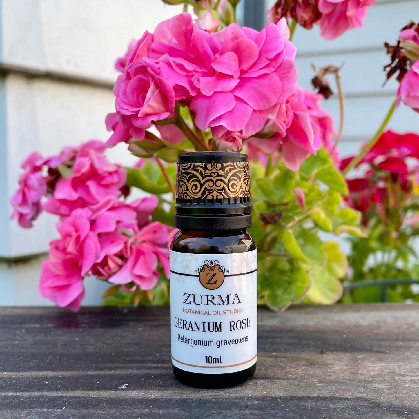 Geranium Rose Essential Oil