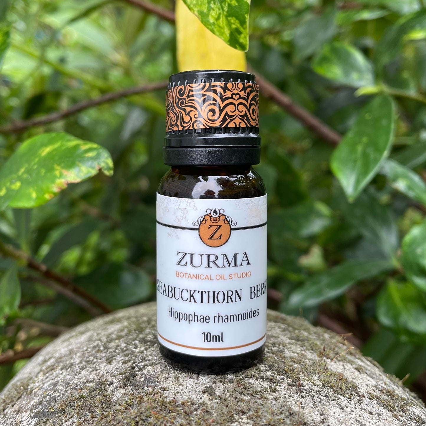 Sea Buckthorn Berry CO2