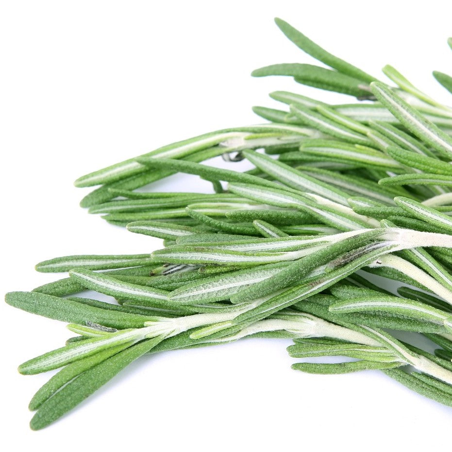 Rosemary ct Camphor Essential Oil