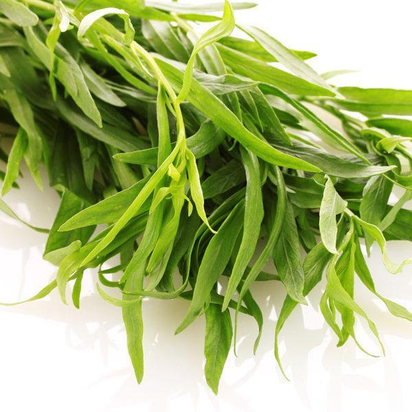 Tarragon French Essential Oil
