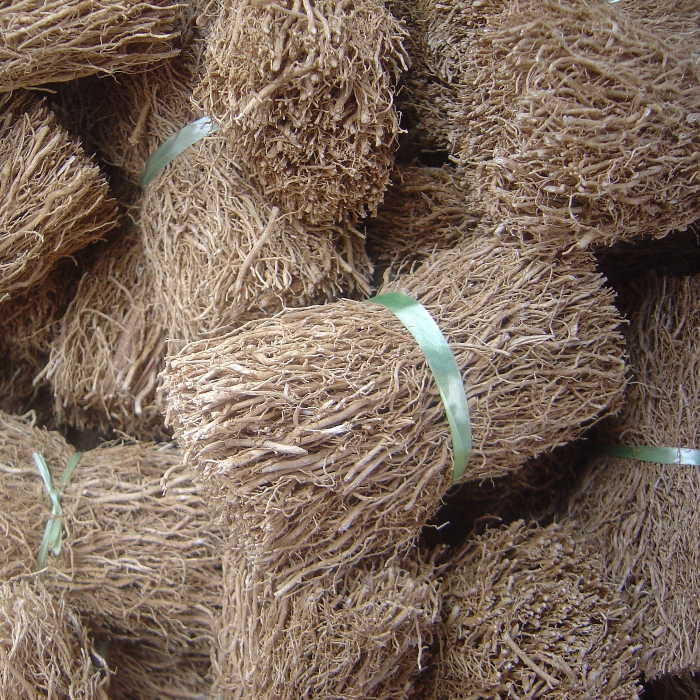 Vetiver Hydrodiffused Essential Oil