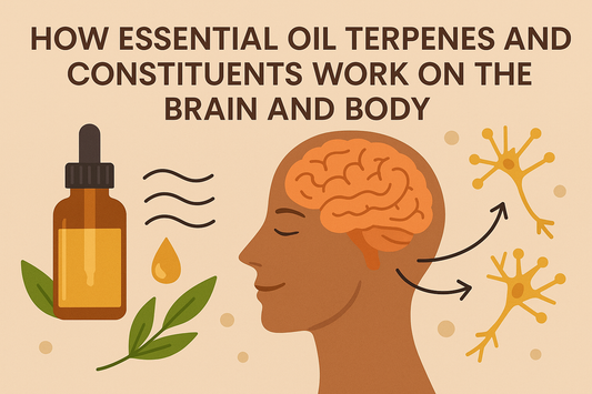 How Essential Oil Constituents Interact with the Brain, Body, and Nervous System: A Deeper Look at Terpenes and Receptors