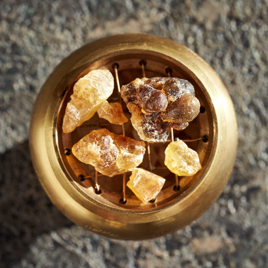 Frankincense Carterii CO2