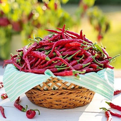 Chilli Pepper (Capsicum) CO2 Extract