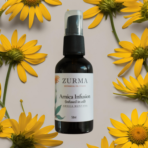 Arnica Flower Infused in Organic Oil