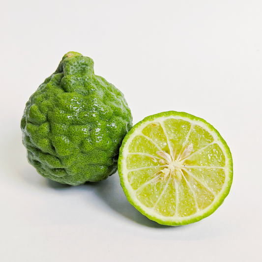 Bergamot Essential Oil