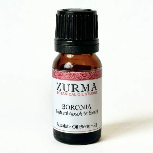 Boronia - Natural Replacement Blend