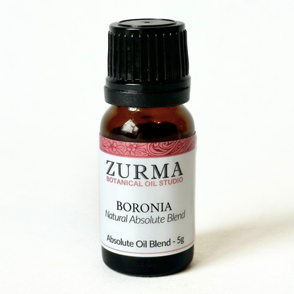 Boronia - Natural Replacement Blend