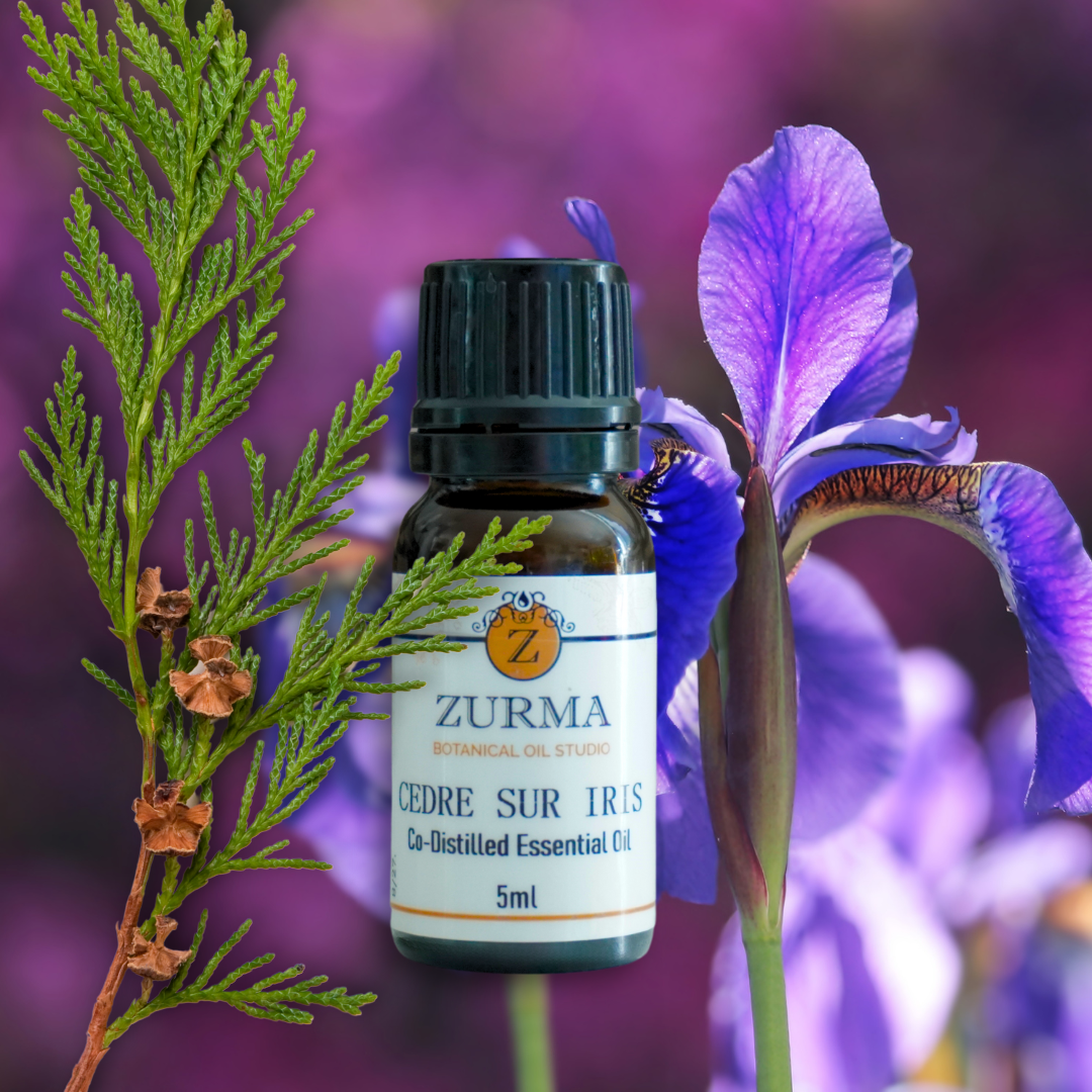 C√©dre Sur Iris - Co-Distilled Essential Oil – Zurma Botanical Oil Studio