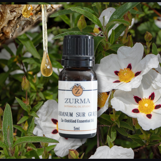 Labdanum Sur Gurjum - Co-Distilled Essential Oil