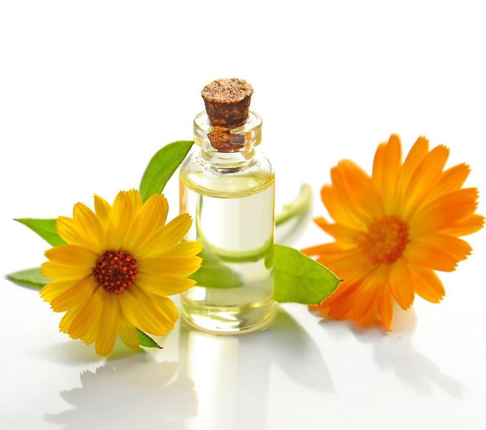 Calendula Flower Infused in Organic Oil