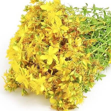St Johns Wort (Hypericum) Infused Almond Oil