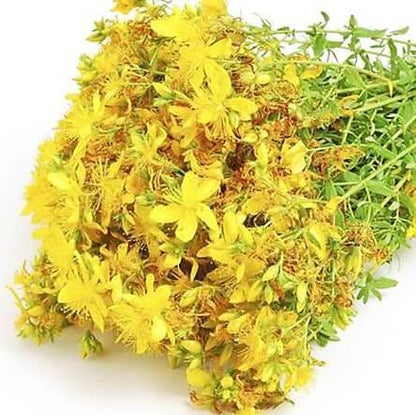 St Johns Wort (Hypericum) Infused Almond Oil