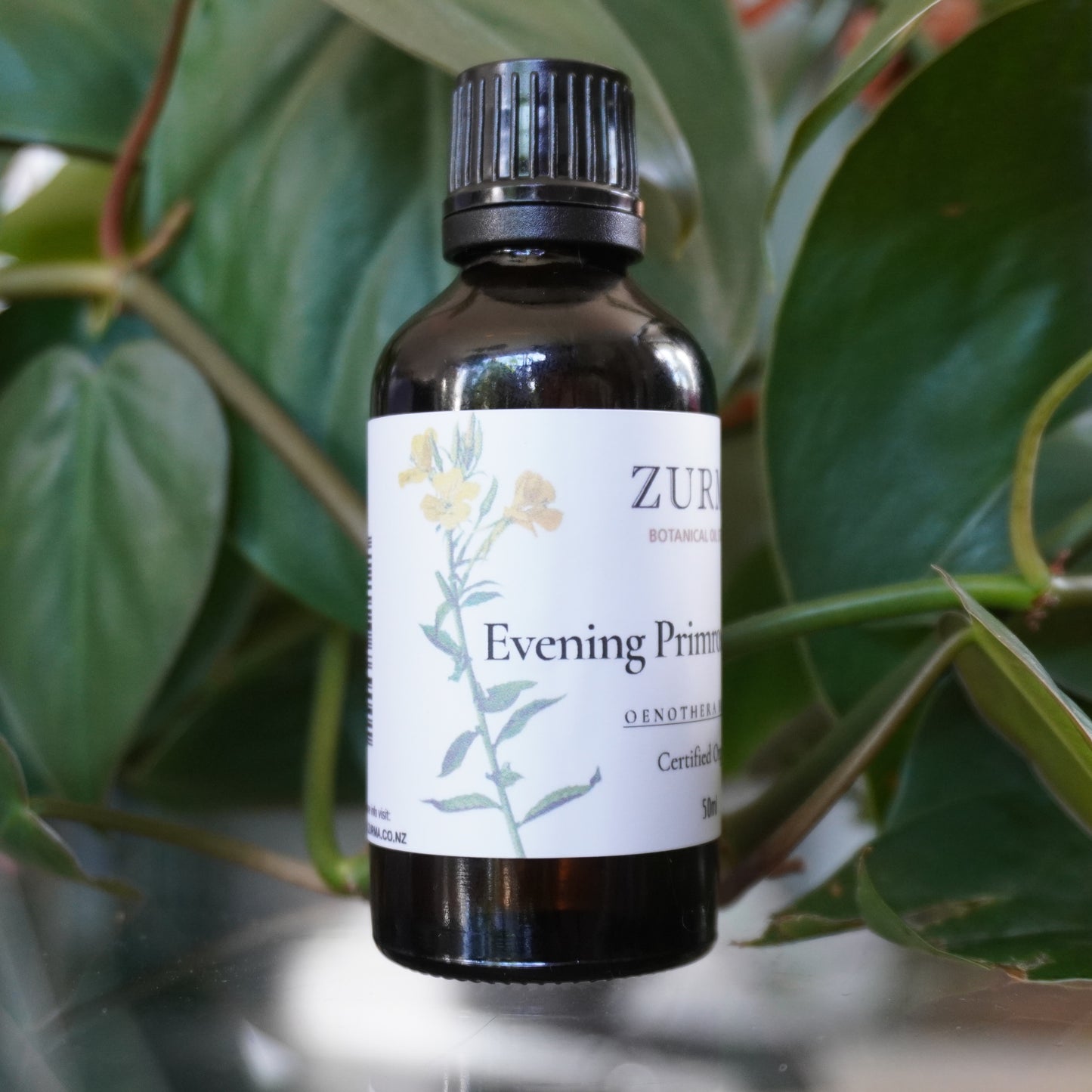 Evening Primrose Seed Oil - Certified Organic