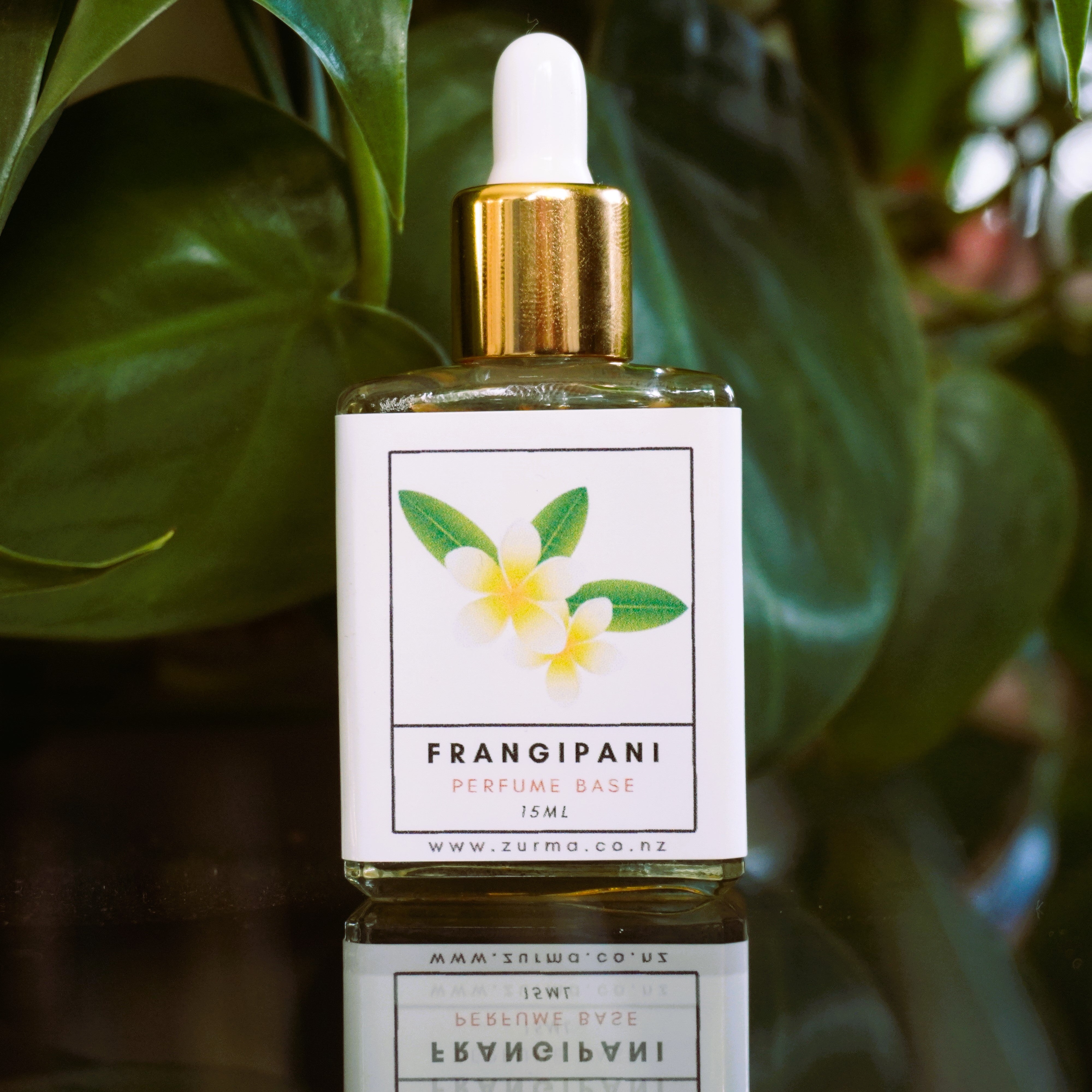 Frangipani shops Perfume