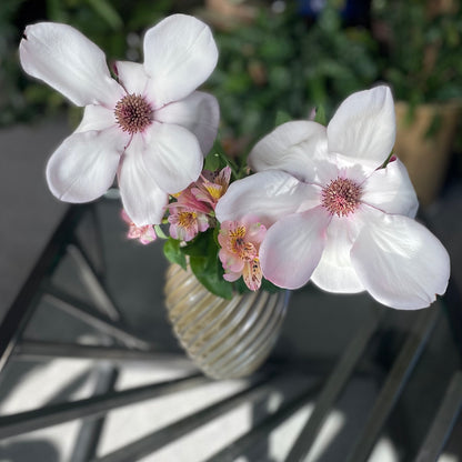 Magnolia Flower Essential Oil