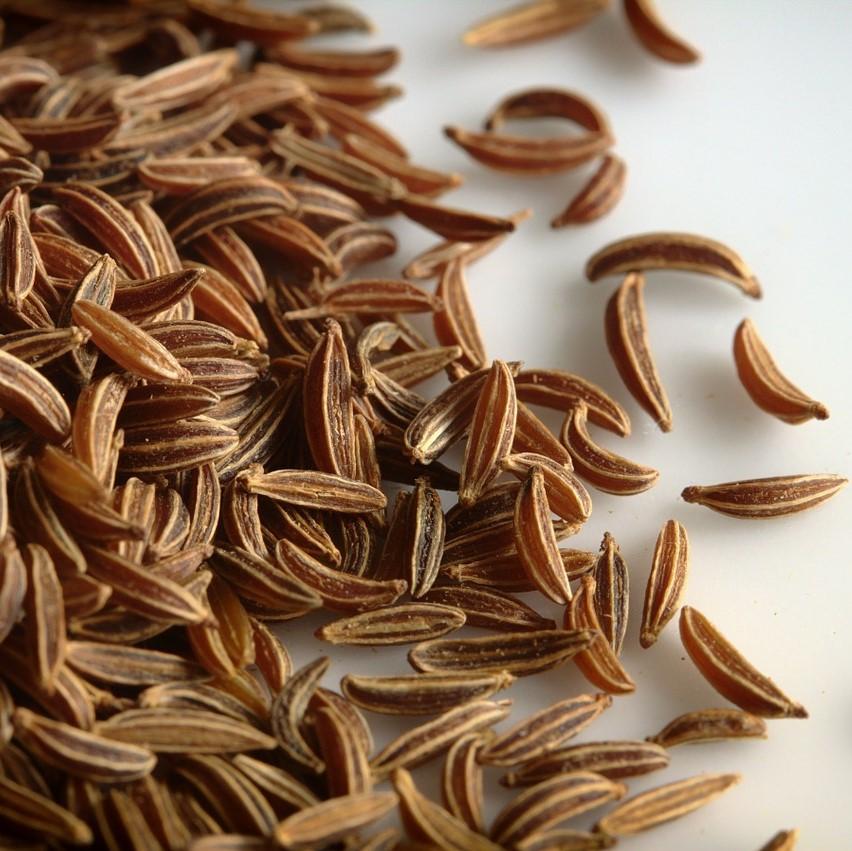 Caraway Seed Oil Essential Oil