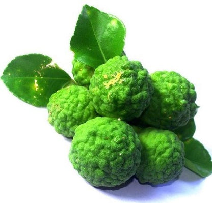 Bergamot Essential Oil