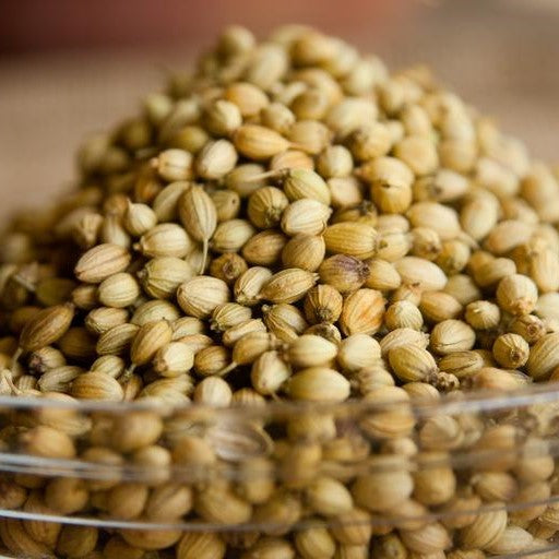 Coriander Seed Essential Oil