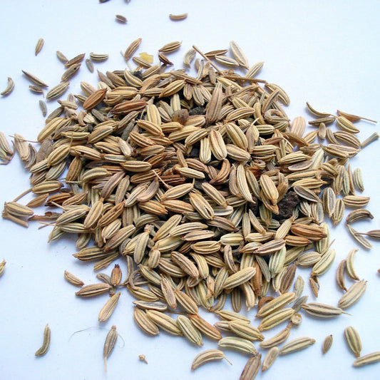 Fennel Sweet Essential Oil