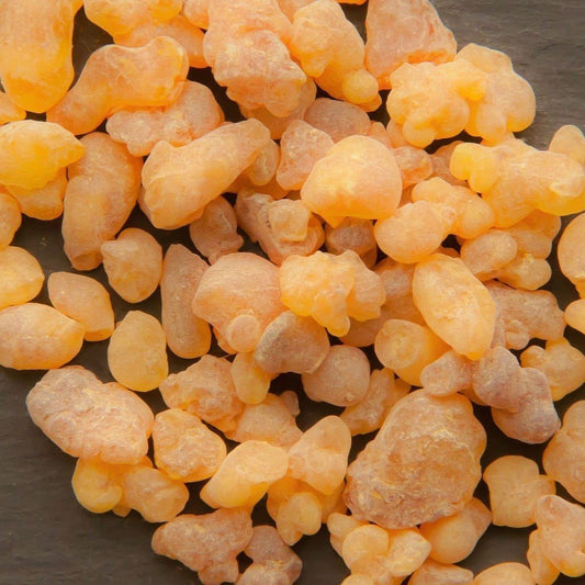 Frankincense Carterii Essential Oil