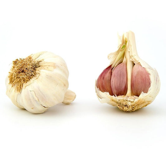 Garlic Essential Oil