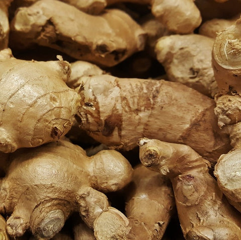 Ginger Dry Essential Oil