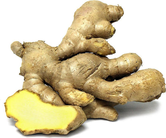 Ginger CO2