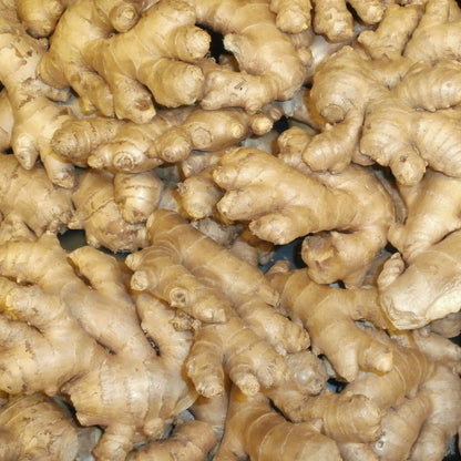 Ginger Dry Essential Oil - Certified Organic