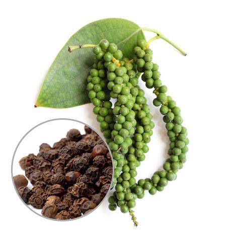 Pepper Black Essential Oil