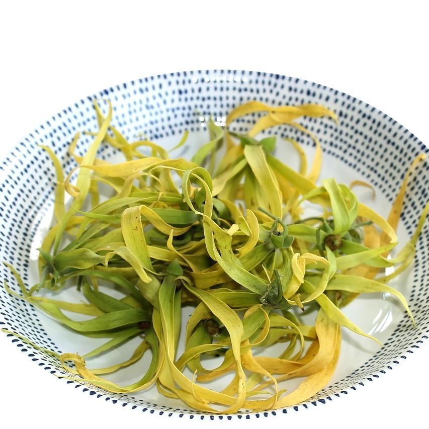 Ylang Ylang Grade 3